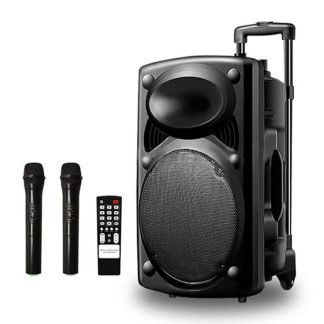 Haut-Parleur Bluetooth Rechargeable D14 - Avec 2 Microphones Sans Fil - Noir